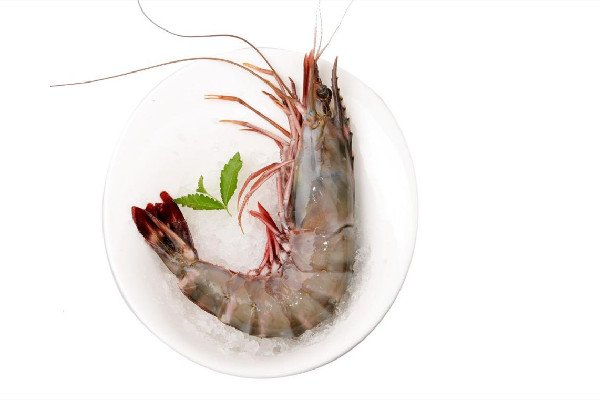 黑虎蝦有什么營養(yǎng)價值 黑虎蝦不和普通蝦有什么區(qū)別 黑虎蝦有什么營養(yǎng)價值 黑虎蝦不和普通蝦有什么區(qū)別