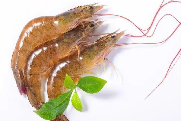 明蝦和基圍蝦區(qū)別 明蝦是海鮮嗎 明蝦和基圍蝦區(qū)別 明蝦是海鮮嗎