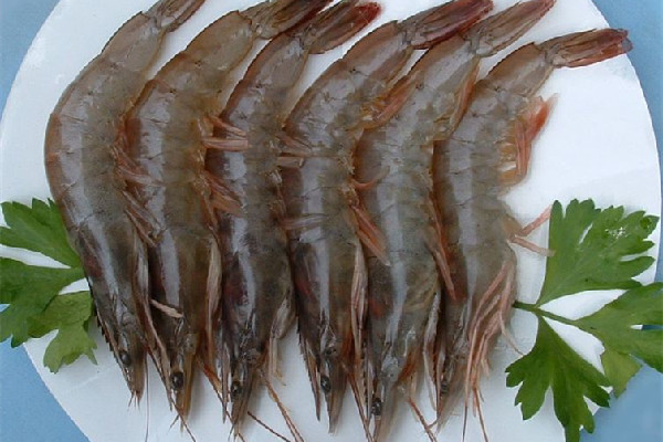 明蝦和基圍蝦區(qū)別 明蝦是海鮮嗎 明蝦和基圍蝦區(qū)別 明蝦是海鮮嗎