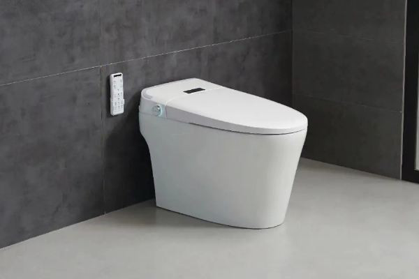 陜西遺址驚現(xiàn)2400年前沖水廁所 沖水馬桶的結(jié)構(gòu) 陜西遺址驚現(xiàn)2400年前沖水廁所 沖水馬桶的結(jié)構(gòu)