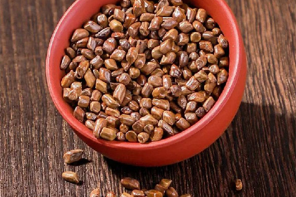 決明子用量一般多少克 決明子用多了會怎樣 決明子用量一般多少克 決明子用多了會怎樣