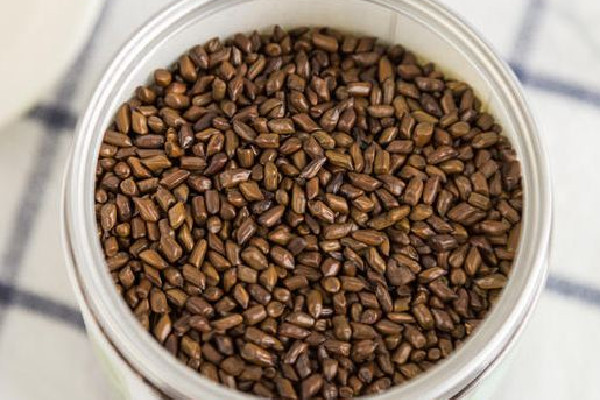 決明子喝了拉肚子怎么回事 決明子喝多久才有效果 決明子喝了拉肚子怎么回事 決明子喝多久才有效果