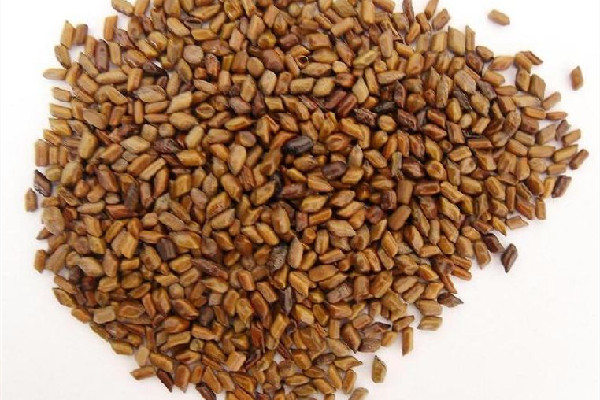 決明子和什么搭配最好 決明子菊花茶的功效和作用 決明子和什么搭配最好 決明子菊花茶的功效和作用