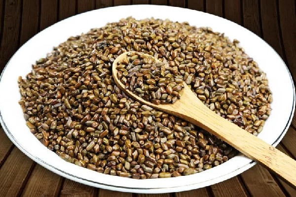 決明子喝了拉肚子怎么回事 決明子喝多久才有效果 決明子喝了拉肚子怎么回事 決明子喝多久才有效果