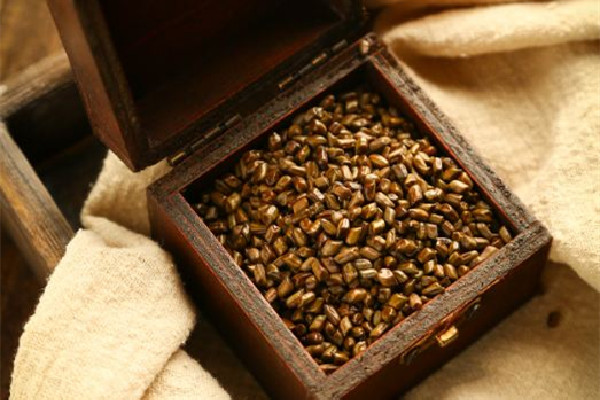 決明子喝了拉肚子怎么回事 決明子喝多久才有效果 決明子喝了拉肚子怎么回事 決明子喝多久才有效果