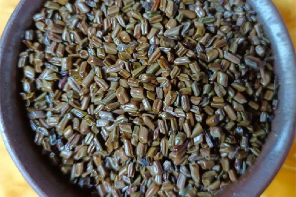 決明子有什么藥效 決明子可以降血壓嗎 決明子有什么藥效 決明子可以降血壓嗎