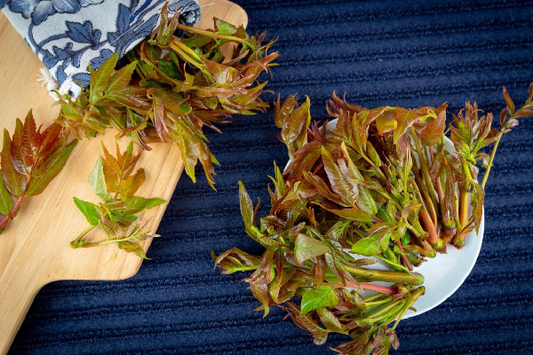 香椿有苦味正常嗎 香椿為什有股怪味 香椿有苦味正常嗎 香椿為什有股怪味