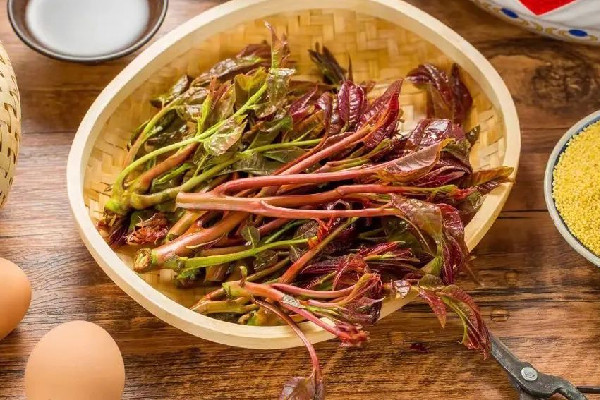 香椿要燙多久 香椿燙過(guò)發(fā)苦是什么原因 香椿要燙多久 香椿燙過(guò)發(fā)苦是什么原因