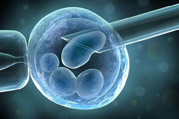 試管嬰兒被弄錯與現(xiàn)父母均無血緣 試管嬰兒需要什么條件才能做 試管嬰兒被弄錯與現(xiàn)父母均無血緣 試管嬰兒需要什么條件才能做