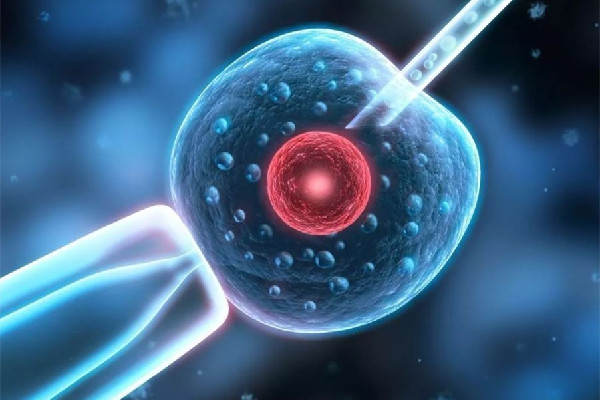 試管嬰兒被弄錯與現(xiàn)父母均無血緣 試管嬰兒需要什么條件才能做 試管嬰兒被弄錯與現(xiàn)父母均無血緣 試管嬰兒需要什么條件才能做