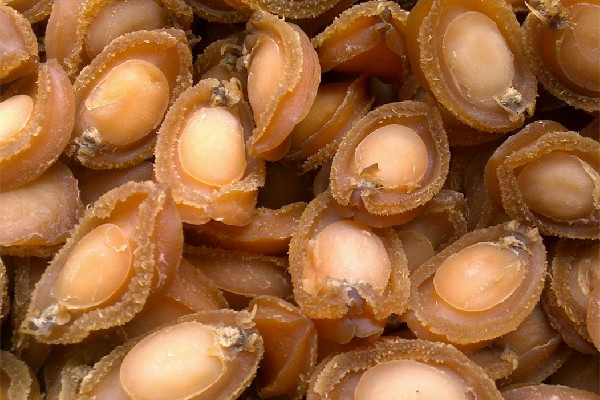 干鮑魚有什么營養(yǎng)價值 干鮑魚對人體有什么好處 干鮑魚有什么營養(yǎng)價值 干鮑魚對人體有什么好處