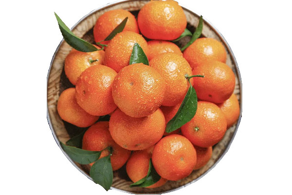 女生帶50斤砂糖橘返校結(jié)果全丟了 砂糖橘能放多久不會壞 女生帶50斤砂糖橘返校結(jié)果全丟了 砂糖橘能放多久不會壞