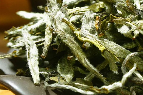 白牡丹茶屬于什么茶類 白牡丹茶和白茶的區(qū)別 白牡丹茶屬于什么茶類 白牡丹茶和白茶的區(qū)別