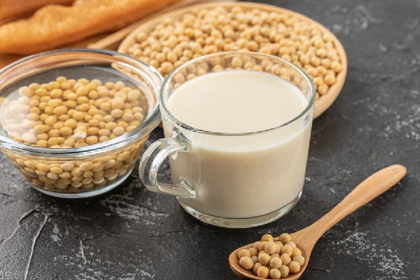 大豆蛋白粉和乳清蛋白粉的區(qū)別 大豆蛋白粉適合尿酸高的人吃嗎 大豆蛋白粉和乳清蛋白粉的區(qū)別 大豆蛋白粉適合尿酸高的人吃嗎