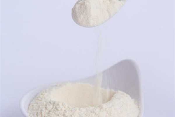 大豆蛋白粉的功效和作用 大豆蛋白粉可以減肥嗎 大豆蛋白粉的功效和作用 大豆蛋白粉可以減肥嗎