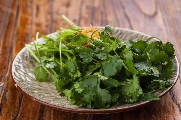 世界討厭香菜日 香菜有哪幾種 世界討厭香菜日 香菜有哪幾種