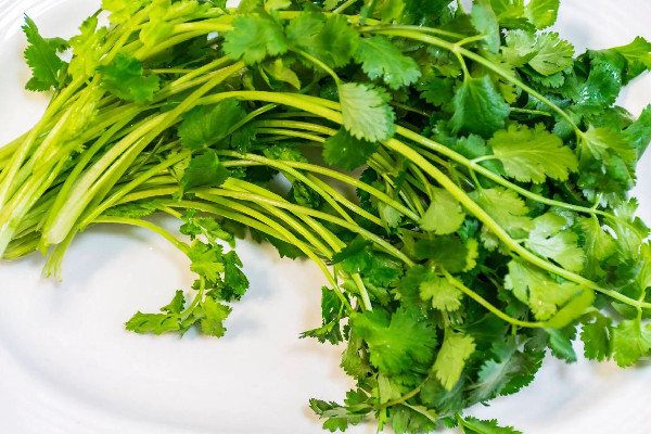 世界討厭香菜日 香菜有哪幾種 世界討厭香菜日 香菜有哪幾種