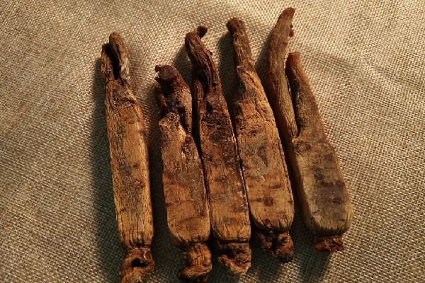 紅參可以燉雞湯喝嗎 紅參燉雞的最佳方法 紅參可以燉雞湯喝嗎 紅參燉雞的最佳方法