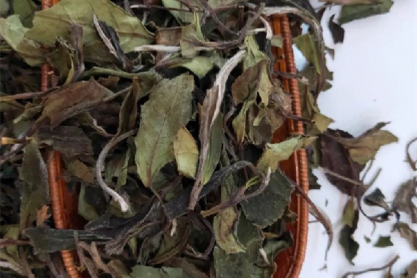 老白茶是什么味道 老白茶好還是新白茶好 老白茶是什么味道 老白茶好還是新白茶好