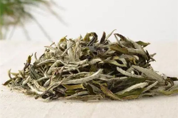 老白茶一次放多少克合適 老白茶第一泡要倒掉嗎 老白茶一次放多少克合適 老白茶第一泡要倒掉嗎