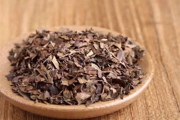 老白茶能泡幾泡 老白茶喝多了有什么壞處 老白茶能泡幾泡 老白茶喝多了有什么壞處