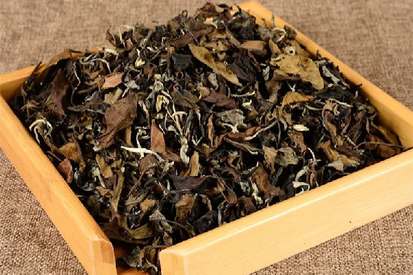 老白茶一次放多少克合適 老白茶第一泡要倒掉嗎 老白茶一次放多少克合適 老白茶第一泡要倒掉嗎