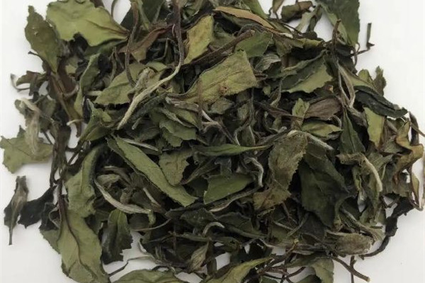 老白茶是發(fā)酵茶嗎 老白茶和普洱哪個(gè)好 老白茶是發(fā)酵茶嗎 老白茶和普洱哪個(gè)好