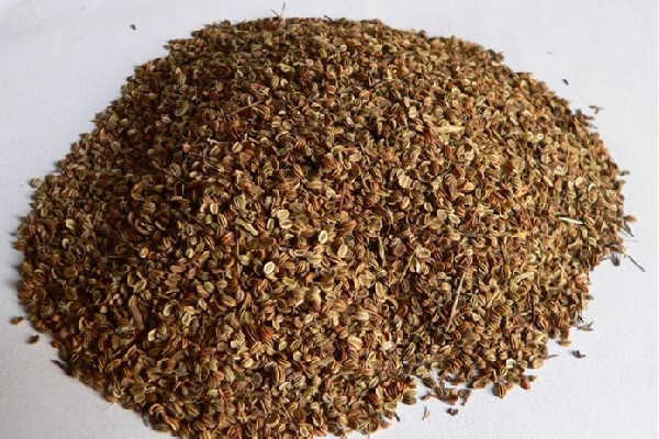 蛇床子研磨外用怎么用 蛇床子外用有副作用嗎 蛇床子研磨外用怎么用 蛇床子外用有副作用嗎