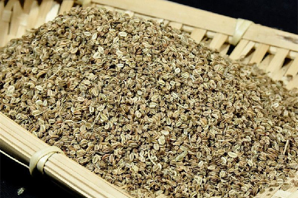 蛇床子有麻醉作用嗎 蛇床子用量多少克 蛇床子有麻醉作用嗎 蛇床子用量多少克