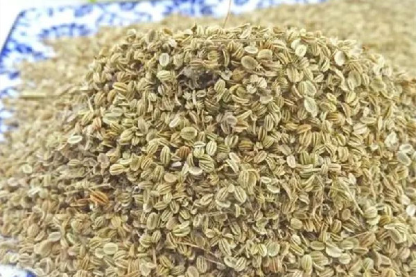 蛇床子可以外用嗎 蛇床子的用法 蛇床子可以外用嗎 蛇床子的用法