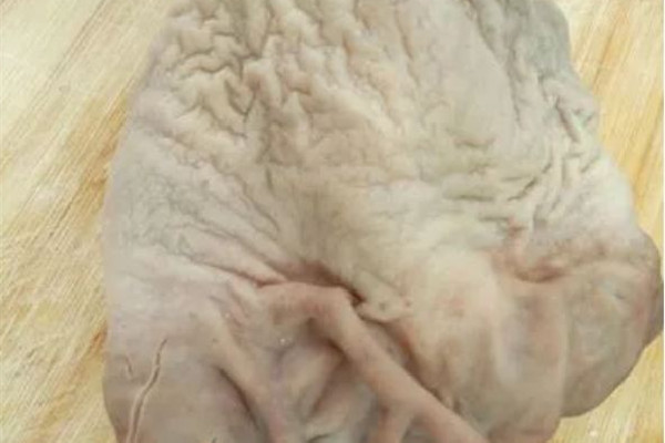 豬肚是內(nèi)臟嗎 豬肚的嘌呤含量高嗎 豬肚是內(nèi)臟嗎 豬肚的嘌呤含量高嗎