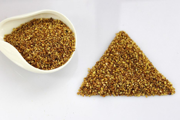 苦蕎茶一次放多少合適 苦蕎茶要泡多久才能喝 苦蕎茶一次放多少合適 苦蕎茶要泡多久才能喝