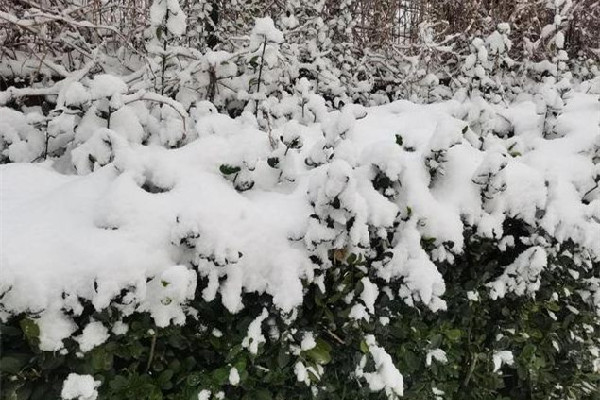 寒潮即將席卷國(guó)內(nèi)大部分地區(qū) 寒潮一般發(fā)生在什么季節(jié) 寒潮即將席卷國(guó)內(nèi)大部分地區(qū) 寒潮一般發(fā)生在什么季節(jié)