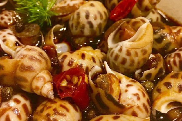 花螺怎么挑選新鮮的 花螺買回來要泡水嗎 花螺怎么挑選新鮮的 花螺買回來要泡水嗎