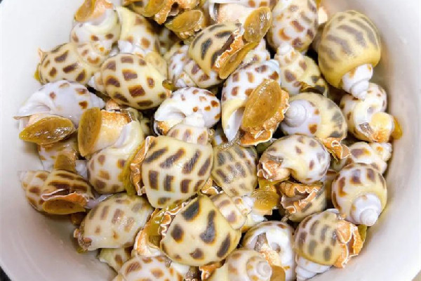 花螺怎么去腥味 花螺用什么醬蘸呢 花螺怎么去腥味 花螺用什么醬蘸呢