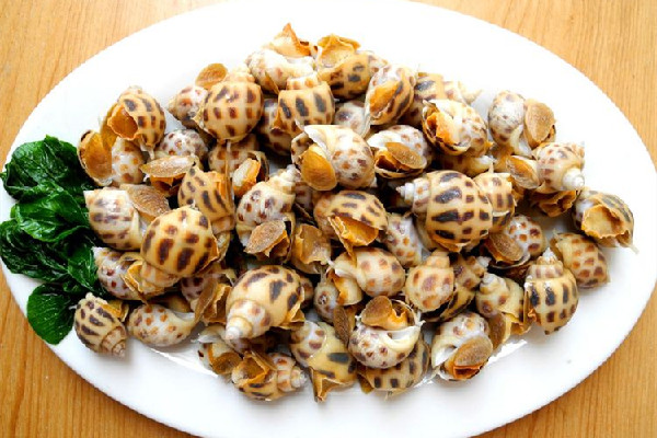 花螺怎么去腥味 花螺用什么醬蘸呢 花螺怎么去腥味 花螺用什么醬蘸呢