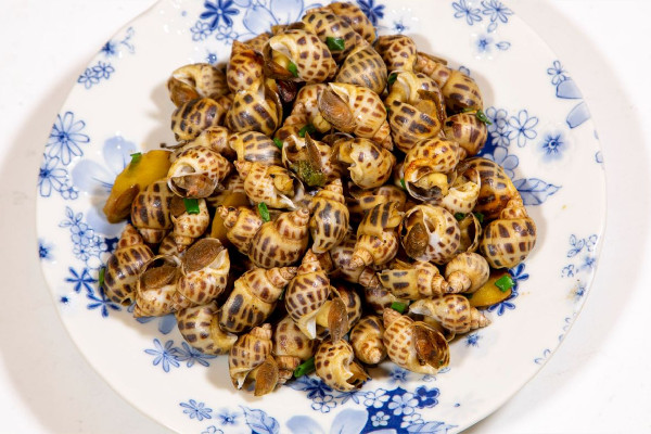 花螺怎么挑選新鮮的 花螺買回來要泡水嗎 花螺怎么挑選新鮮的 花螺買回來要泡水嗎