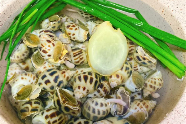 花螺的營養(yǎng)價值和功效 花螺是海鮮嗎 花螺的營養(yǎng)價值和功效 花螺是海鮮嗎