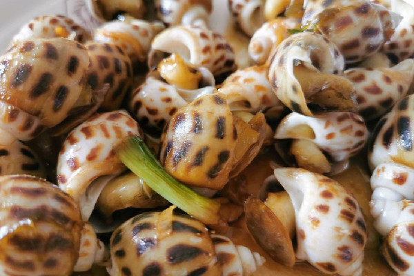 花螺有粘液正常嗎 花螺怎么清洗才干凈 花螺有粘液正常嗎 花螺怎么清洗才干凈