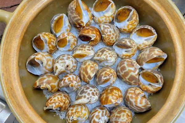 花螺怎么做好吃又簡(jiǎn)單 花螺水開后煮幾分鐘 花螺怎么做好吃又簡(jiǎn)單 花螺水開后煮幾分鐘