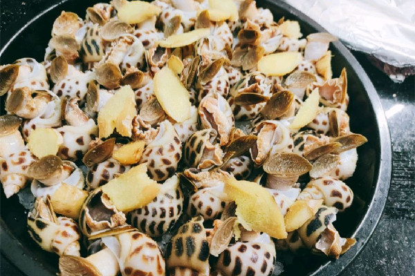 花螺要冷水煮還是熱水煮 花螺要放料酒煮嗎 花螺要冷水煮還是熱水煮 花螺要放料酒煮嗎