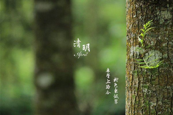 清明節(jié)可以提前一個月去上墳嗎 清明節(jié)上墳可以提前多少天 清明節(jié)可以提前一個月去上墳嗎 清明節(jié)上墳可以提前多少天