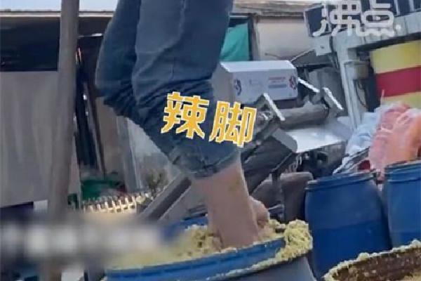 汕頭腌制廠工人用腳踩菜 酸菜用什么菜做的 汕頭腌制廠工人用腳踩菜 酸菜用什么菜做的