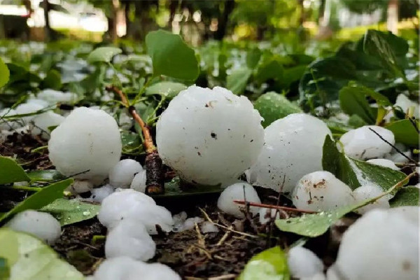 廣州多區(qū)下冰雹白天恍若黑夜 冰雹在哪些地區(qū)多發(fā) 廣州多區(qū)下冰雹白天恍若黑夜 冰雹在哪些地區(qū)多發(fā)