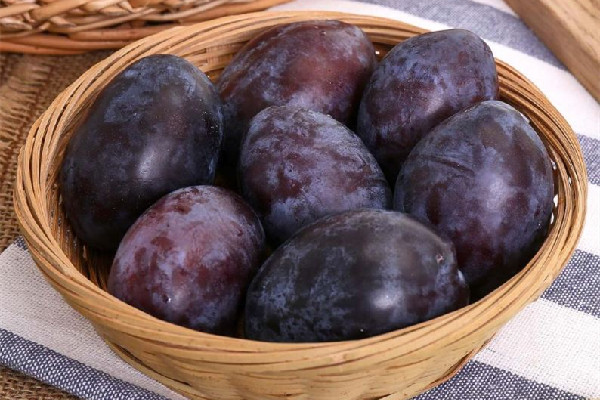 西梅有維生素c嗎 西梅可以補(bǔ)充什么營(yíng)養(yǎng) 西梅有維生素c嗎 西梅可以補(bǔ)充什么營(yíng)養(yǎng)