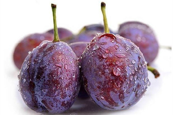 西梅和李子有啥區(qū)別 西梅有幾個(gè)品種 西梅和李子有啥區(qū)別 西梅有幾個(gè)品種