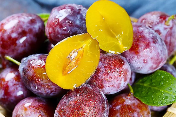 西梅吃多了會(huì)不會(huì)拉肚子 西梅吃多了有副作用嗎 西梅吃多了會(huì)不會(huì)拉肚子 西梅吃多了有副作用嗎