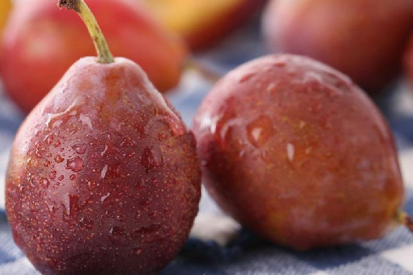 西梅有維生素c嗎 西梅可以補(bǔ)充什么營(yíng)養(yǎng) 西梅有維生素c嗎 西梅可以補(bǔ)充什么營(yíng)養(yǎng)