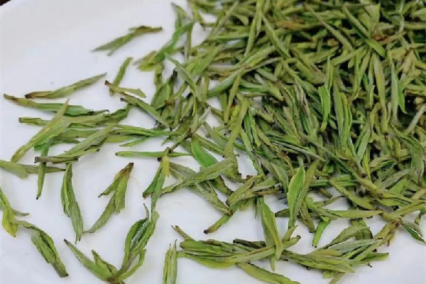 安吉白茶怎么辨別檔次 安吉白茶屬于什么檔次 安吉白茶怎么辨別檔次 安吉白茶屬于什么檔次