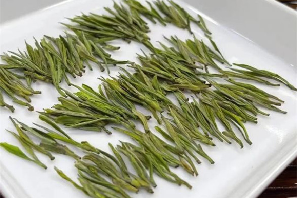 安吉白茶可以存放多長(zhǎng)時(shí)間 安吉白茶放了三年還能喝嗎 安吉白茶可以存放多長(zhǎng)時(shí)間 安吉白茶放了三年還能喝嗎